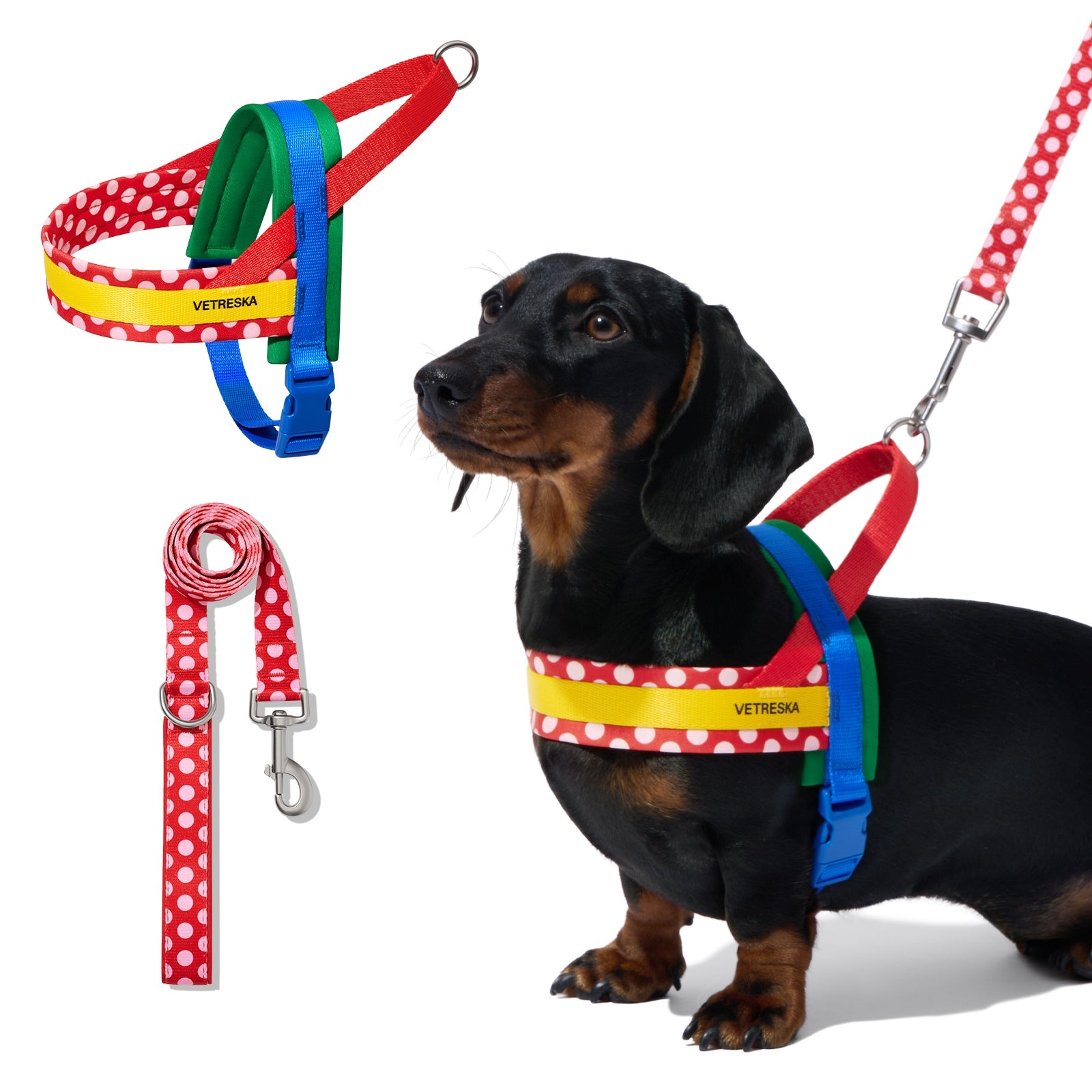 VETRESKA Chroma Hondentuigje en Riem Set - Rood