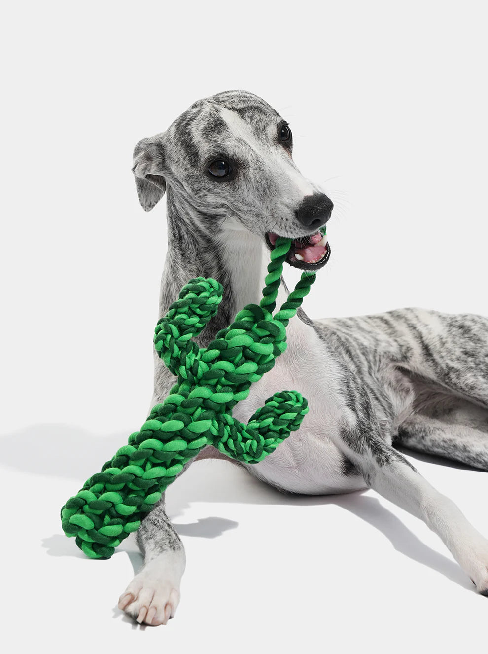 VETRESKA Oasis Cactus Knot Rope Toy