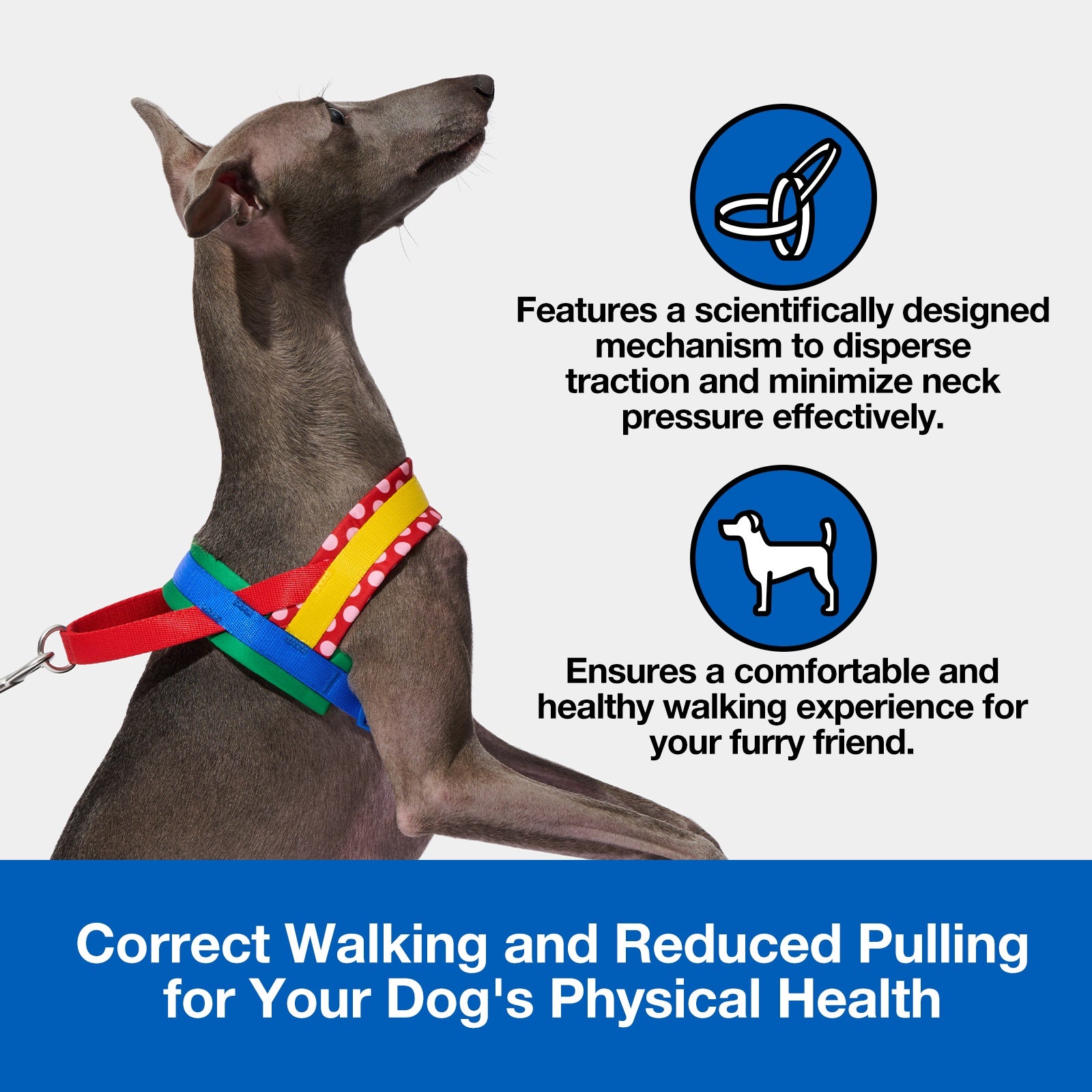 VETRESKA Chroma Pet Harness & Leash Set - Red
