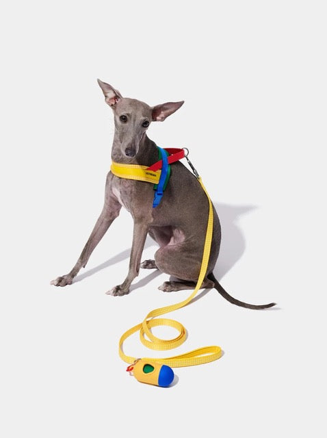 VETRESKA Chroma Pet Harness & Leash Set
