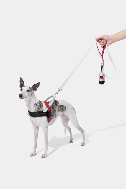 VETRESKA Circuit Quick Fit Pet Harness & Leash Set (Pre Order)