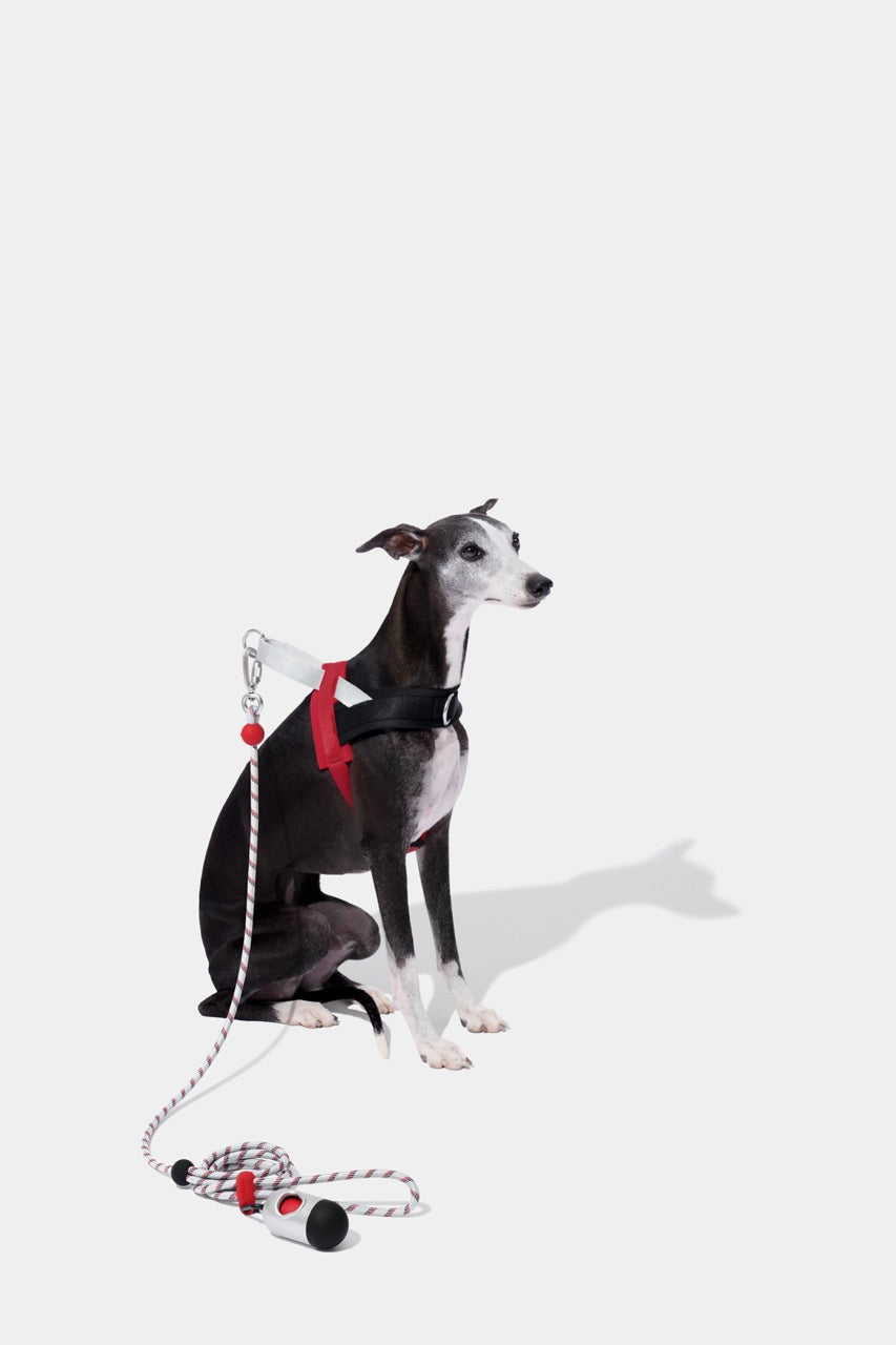 Vetreska Circuit Connect Premium Classic Rope Leash-Circuit (Pre-Order)
