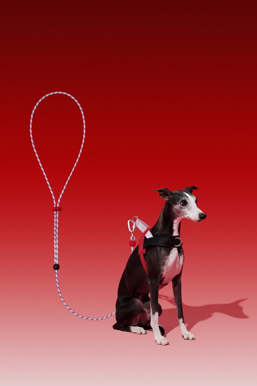 Vetreska Circuit Connect Premium Classic Rope Leash-Circuit (Pre-Order)