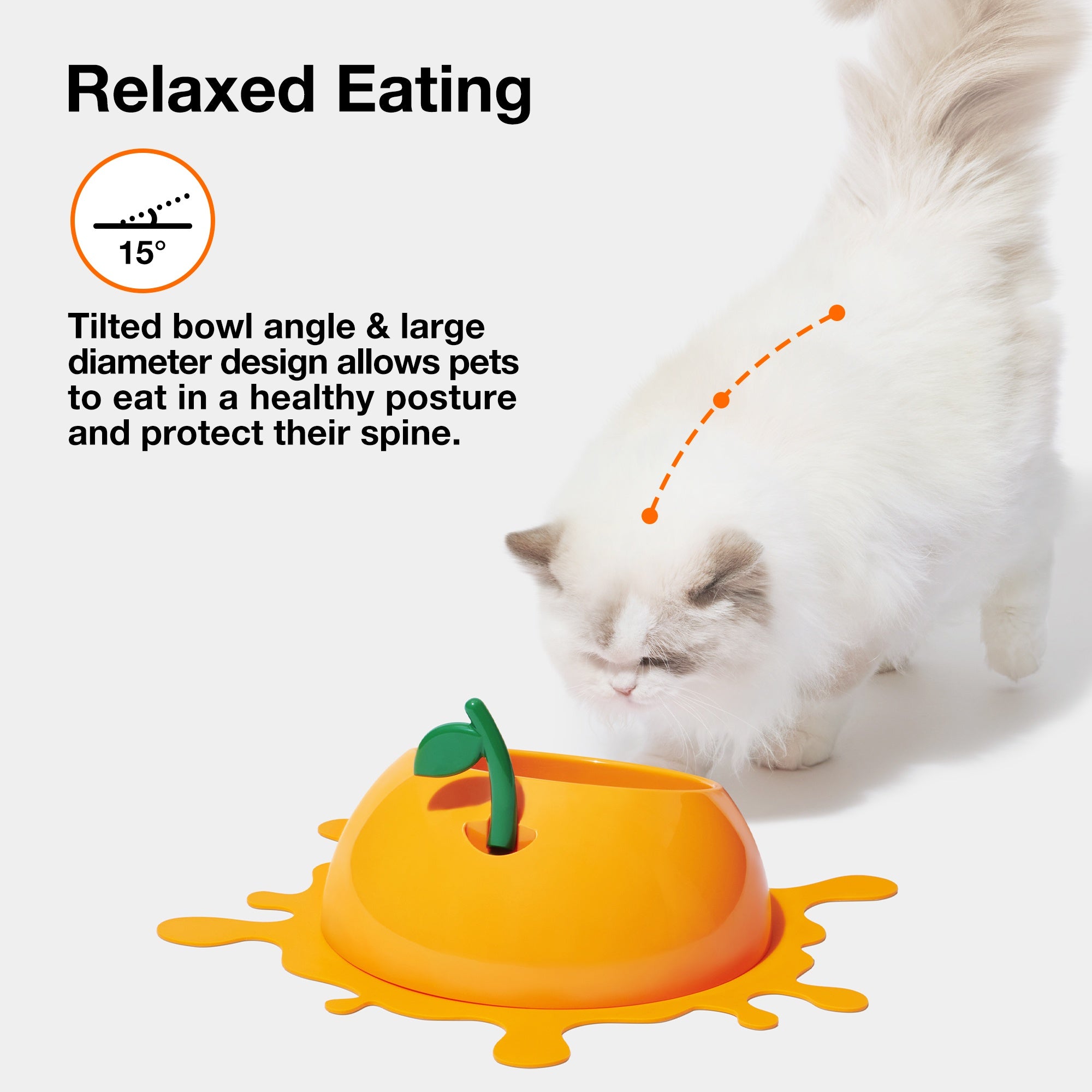 VETRESKA Juicy Tangerine Pet Bowl, Spoon & Mat Set