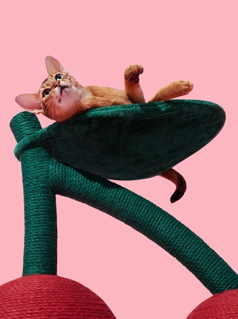 VETRESKA Cherry Cat Tree