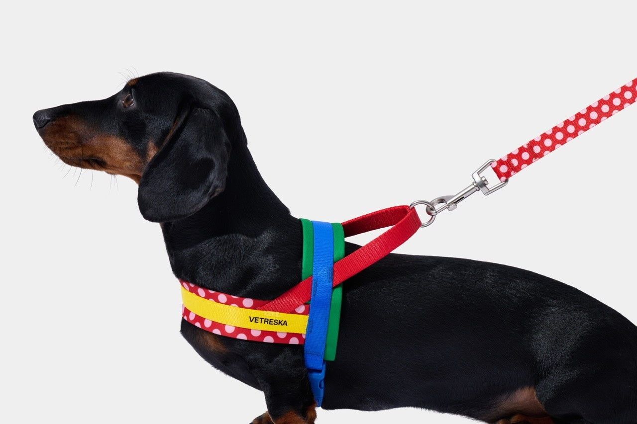 VETRESKA Chroma Pet Harness & Leash Set - Red