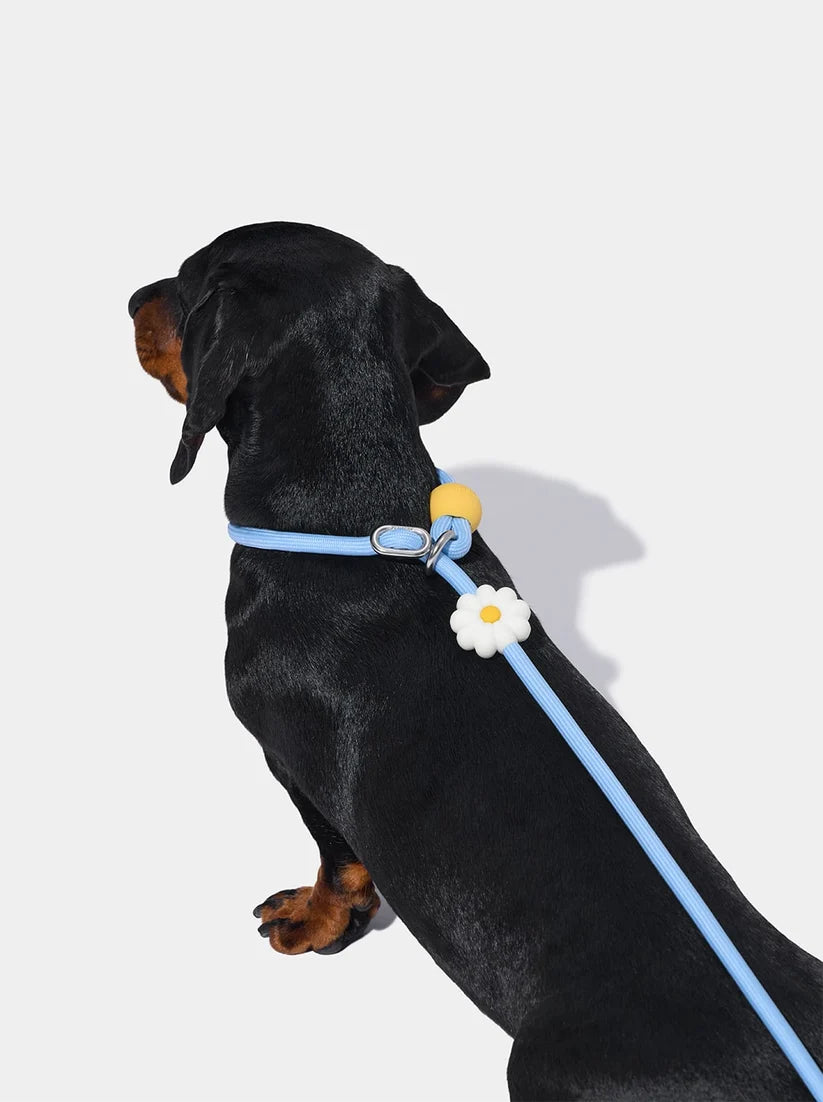 Connect Lite Walk Kit