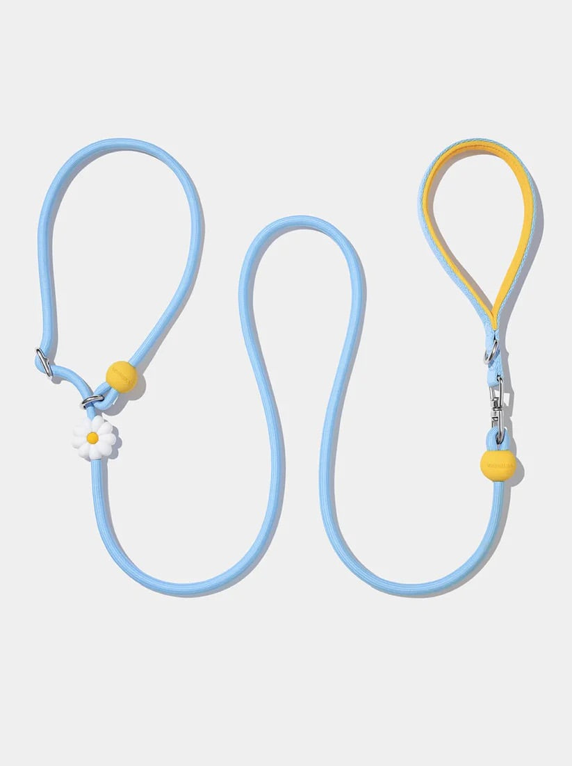 Connect Lite Walk Kit