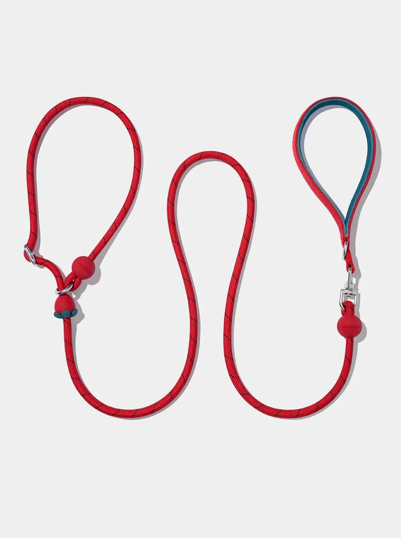 Connect Lite Walk Kit