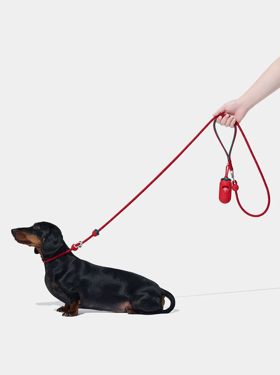 Connect Lite Walk Kit