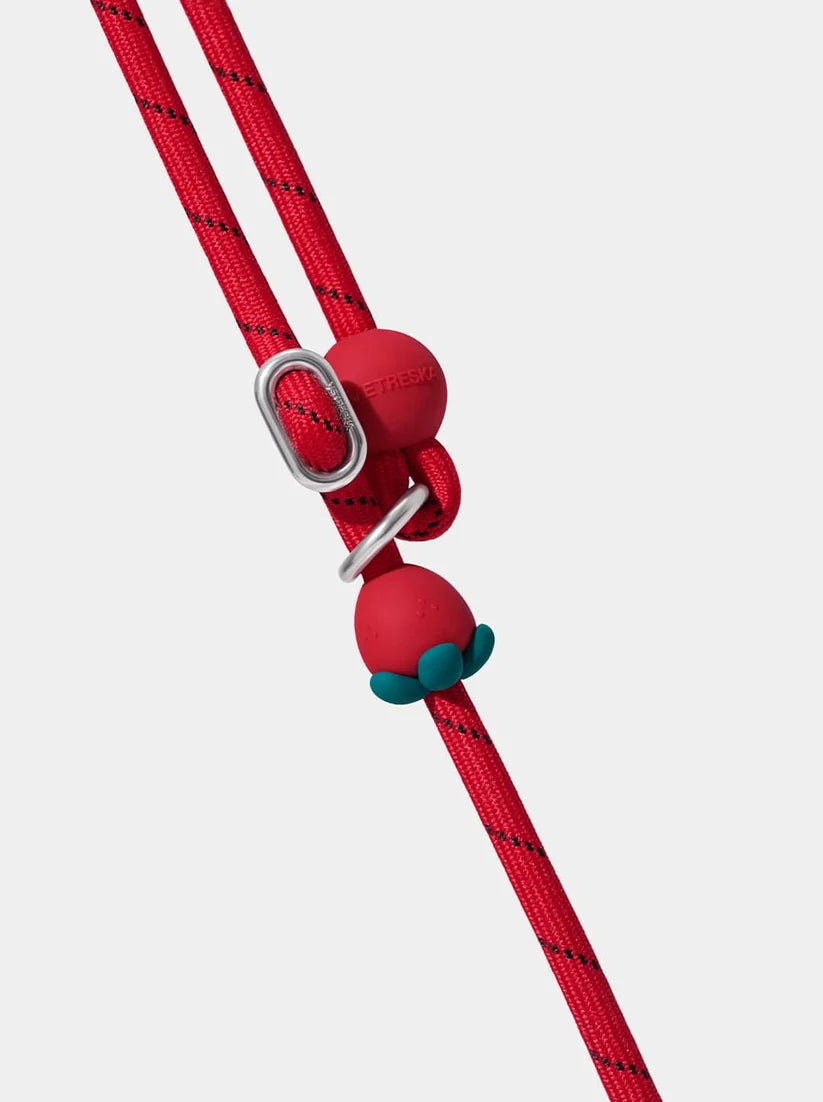 Connect Lite Walk Kit