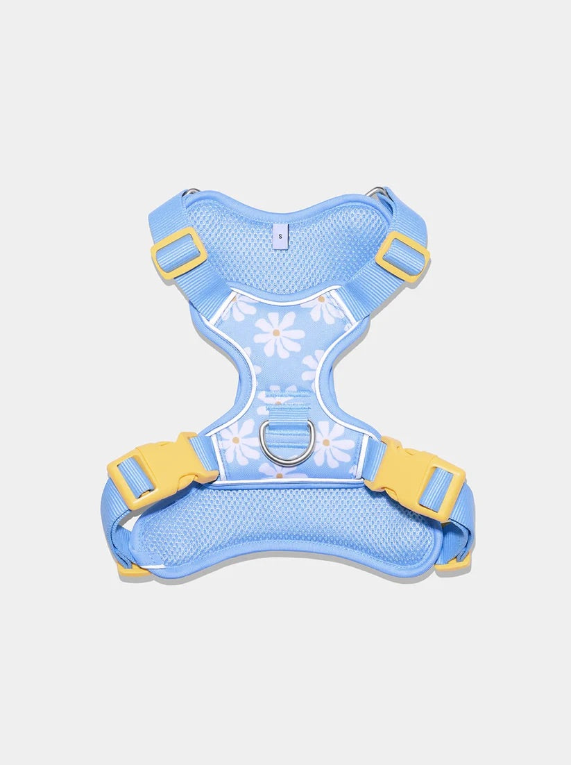 Daisy Pet Harness & Leash Set