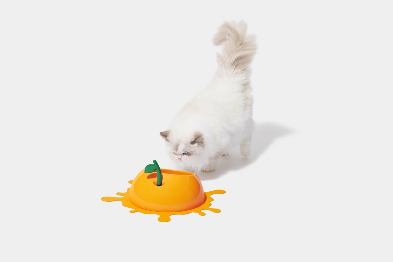VETRESKA Juicy Tangerine Pet Bowl, Spoon & Mat Set