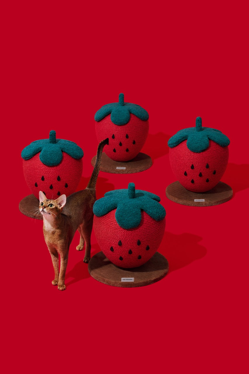 VETRESKA Strawberry Cat Scratching Ball