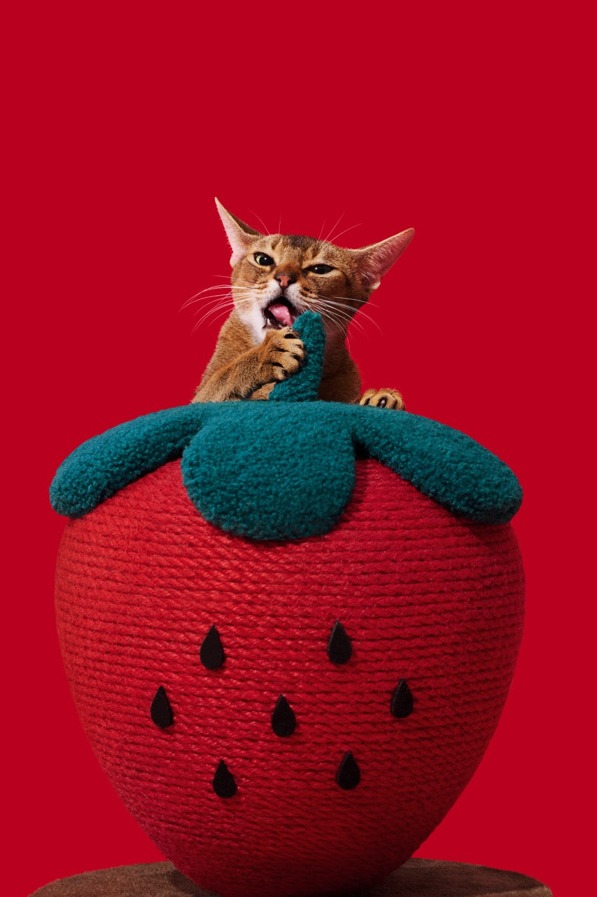 VETRESKA Strawberry Cat Scratching Ball
