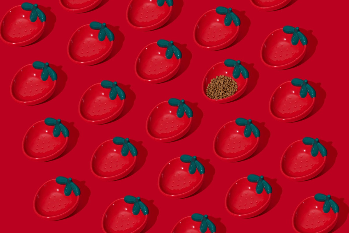 Strawberry Ceramic Pet Bowl