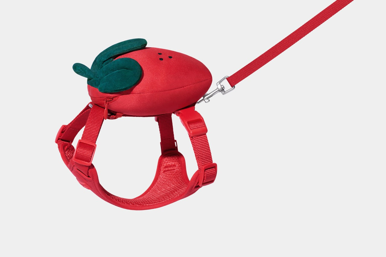 VETRESKA Strawberry Pet Backpack, Harness & Leash Set