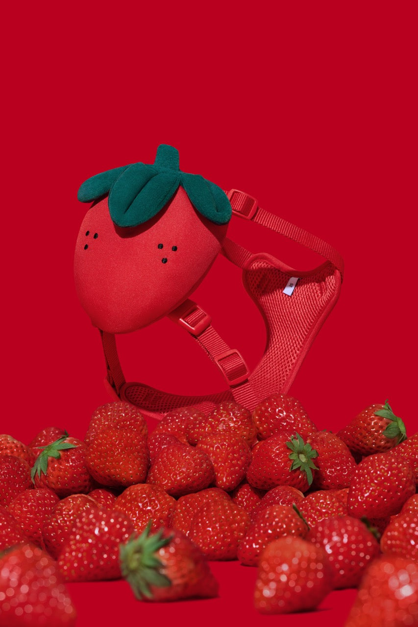 VETRESKA Strawberry Pet Backpack, Harness & Leash Set