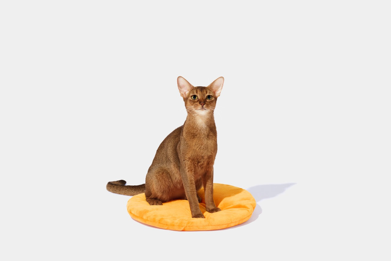 VETRESKA Tangerine Rotan Huisdierbed