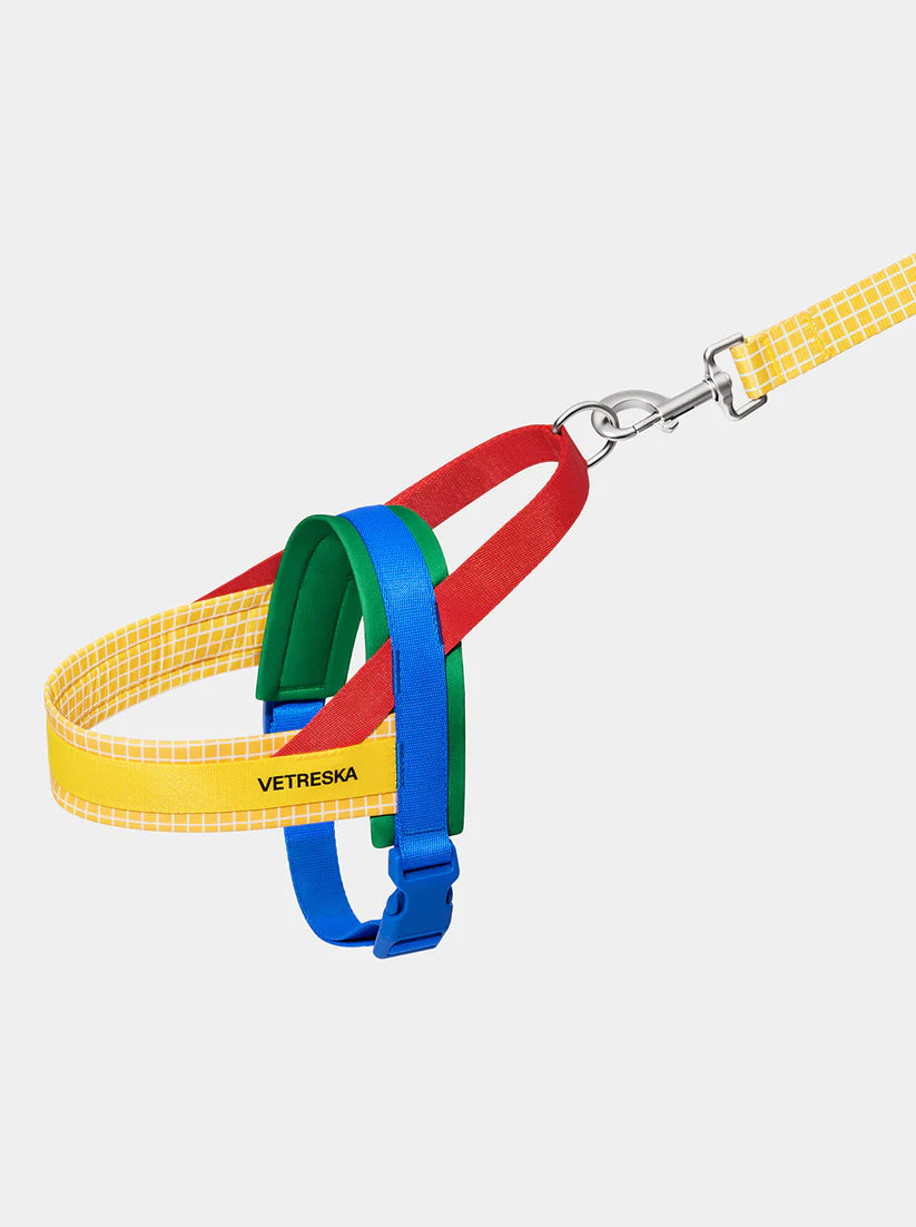 VETRESKA Chroma Pet Harness & Leash Set