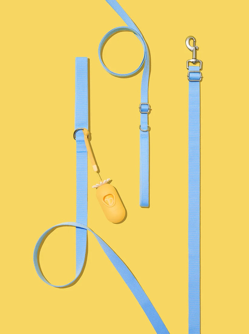Daisy Pet Harness & Leash Set