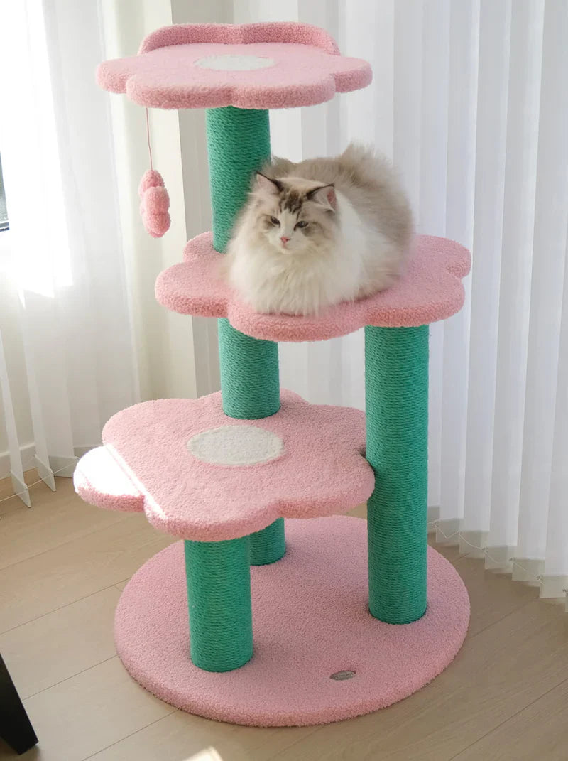 The Pet Parent Revolution: How VETRESKA Is Changing the Way We Love Our Animals