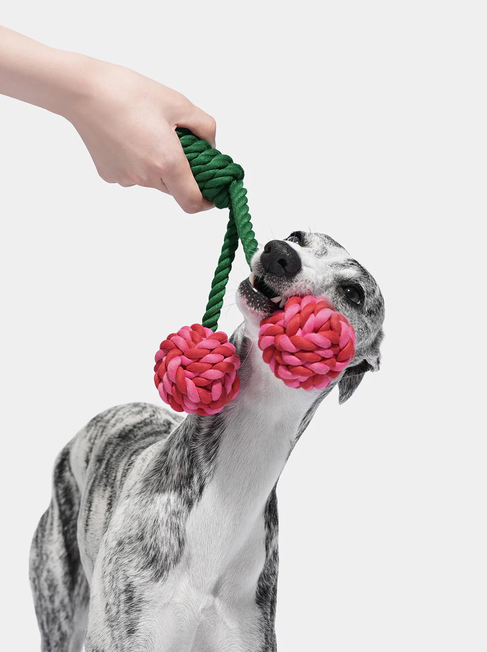 Toy