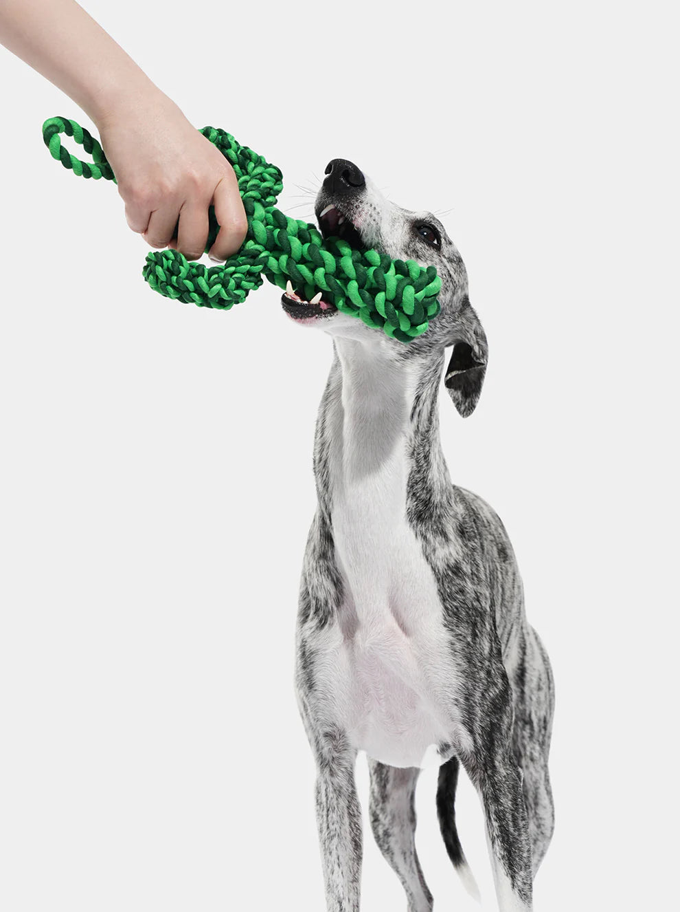 VETRESKA Oasis Cactus Knot Rope Toy