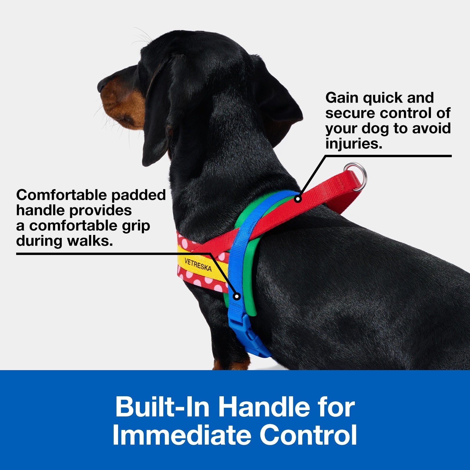 VETRESKA Chroma Pet Harness & Leash Set - Red