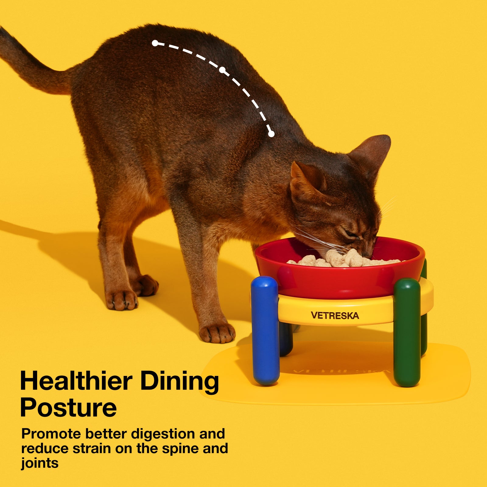 VETRESKA Chroma Ceramic Pet Bowl & Mat Set