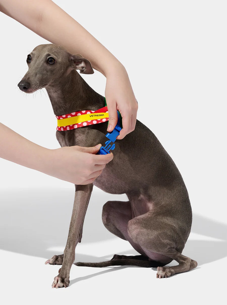VETRESKA Chroma Pet Harness & Leash Set - Red