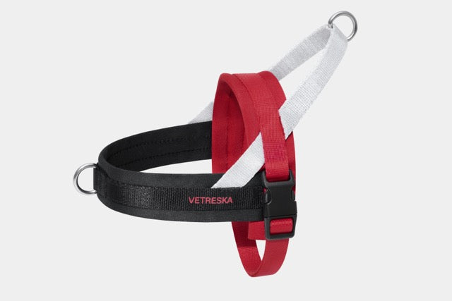 VETRESKA Circuit Quick Fit Pet Harness & Leash Set (Pre Order)