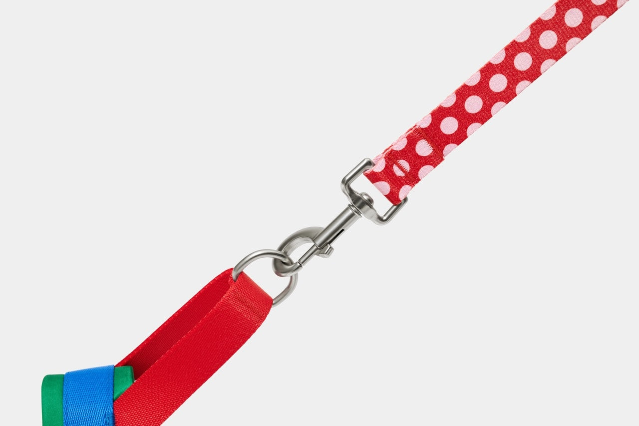 VETRESKA Chroma Pet Harness & Leash Set - Red