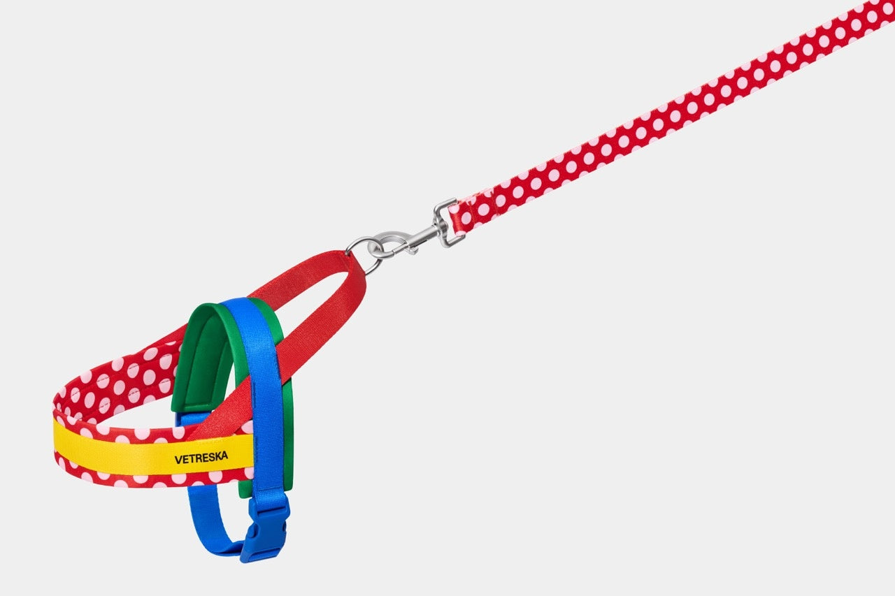 VETRESKA Chroma Pet Harness & Leash Set - Red