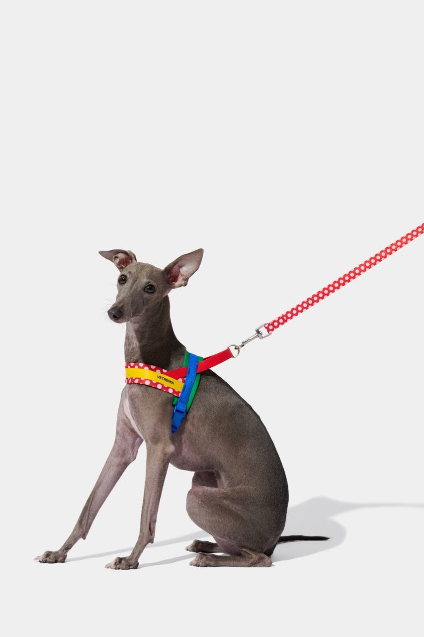 VETRESKA Chroma Pet Harness & Leash Set - Red
