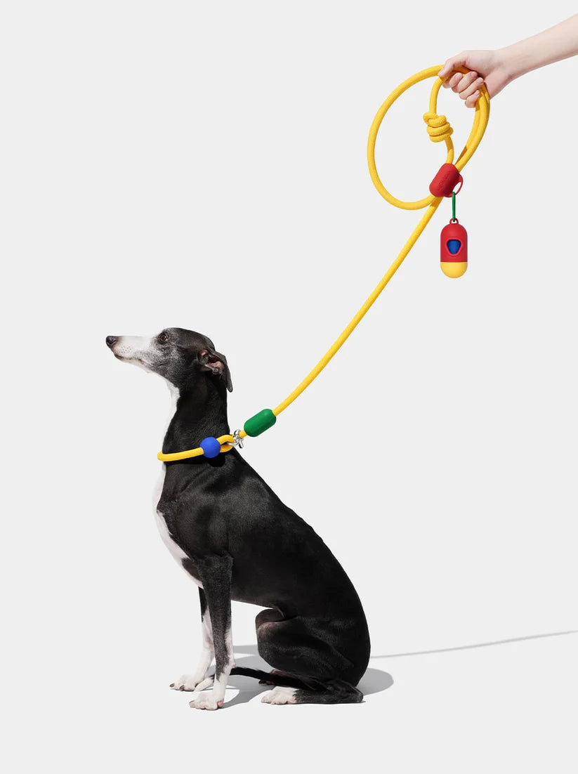 VETRESKA Connect Hands-Free Rope Leash