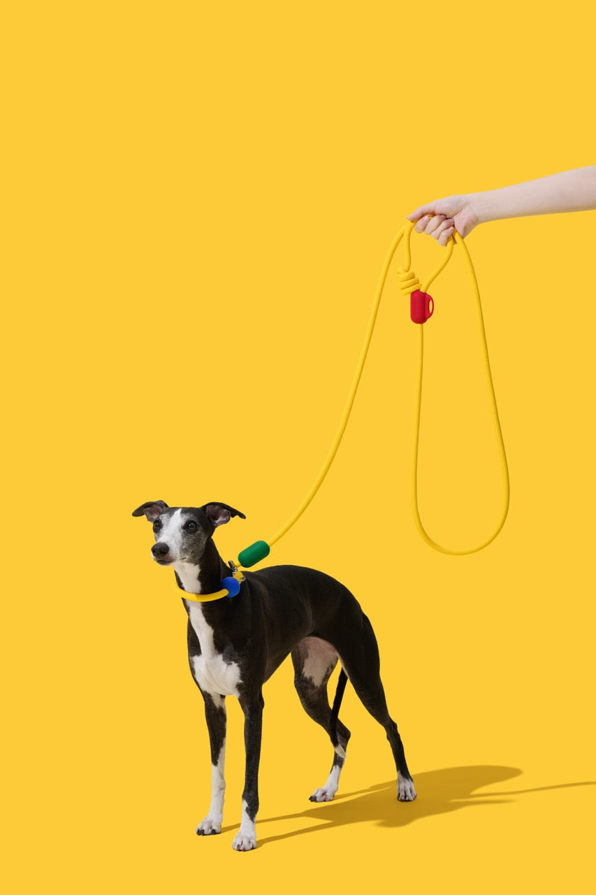 VETRESKA Connect Freihand-Seilleine für Haustiere (Chroma)