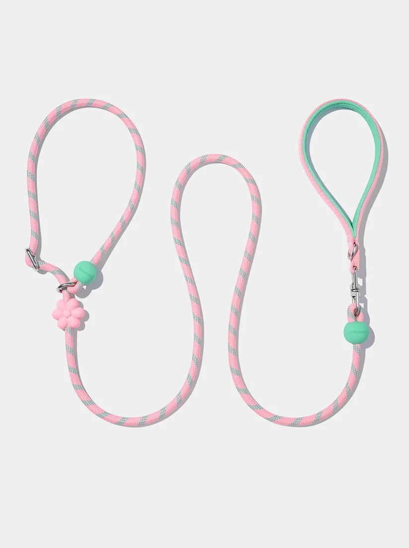 Connect Lite Walk Kit