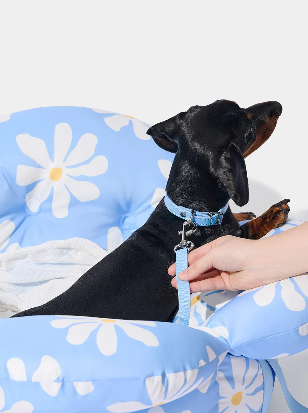 VETRESKA Daisy Pet Sofa