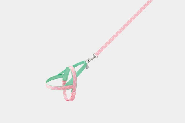 VETRESKA Flora Pet Harness & Leash Set (Pre-Order)