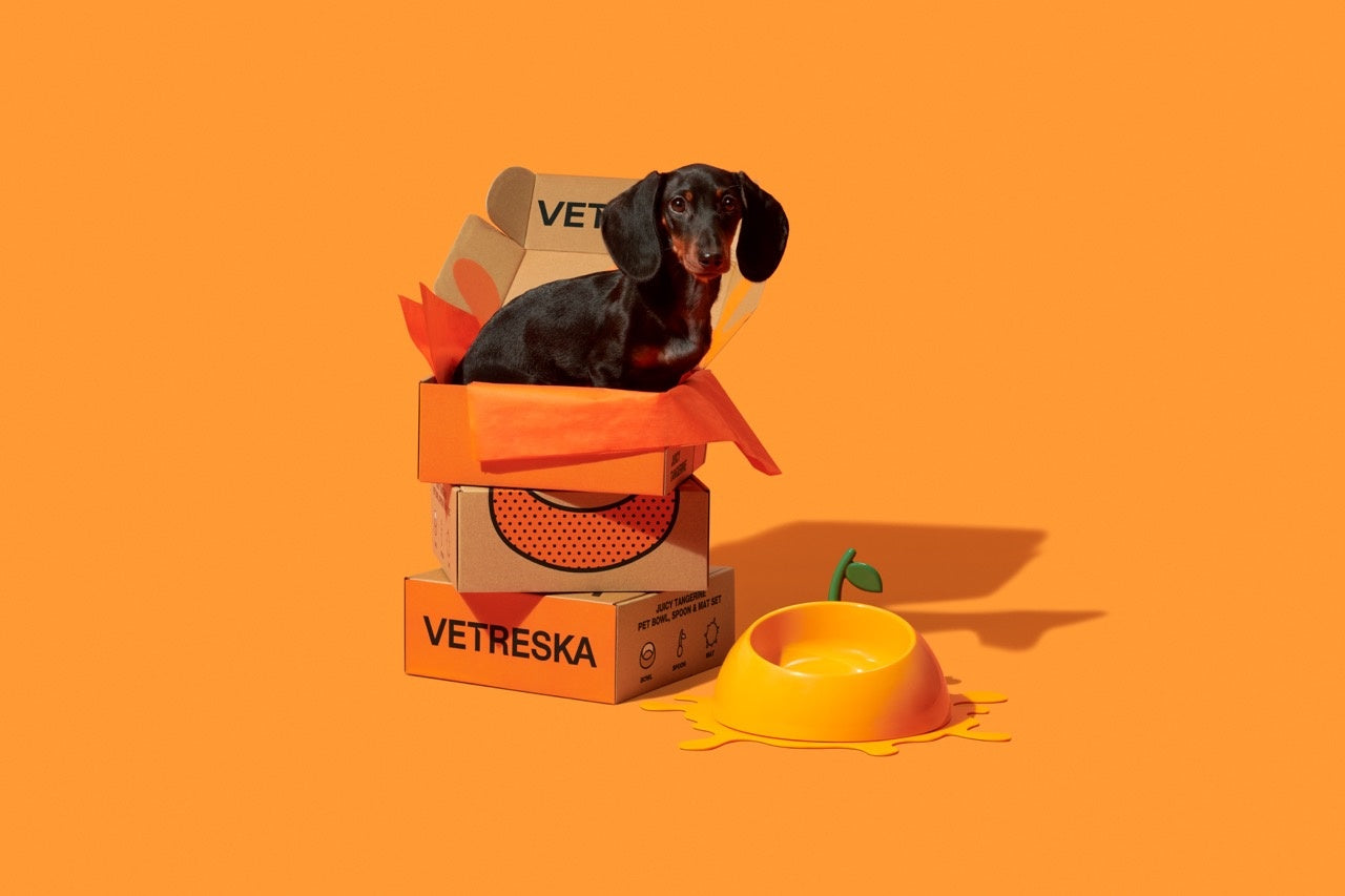 VETRESKA Sappige Mandarijn Voerbak, Lepel & Mat Set