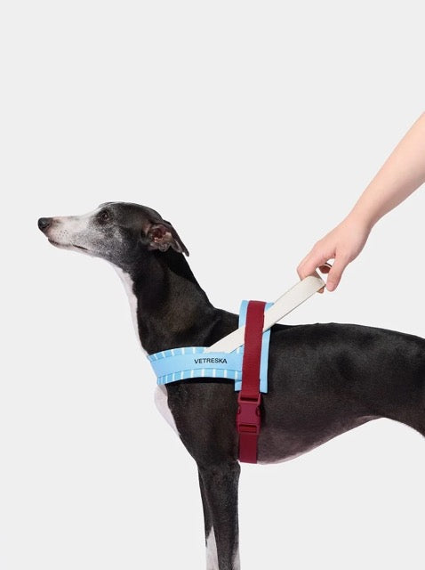 VETRESKA Mist & Merlot Pet Harness & Leash Set (Pre-Order)