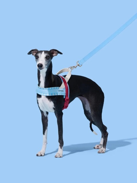 VETRESKA Mist & Merlot Pet Harness & Leash Set (Pre-Order)