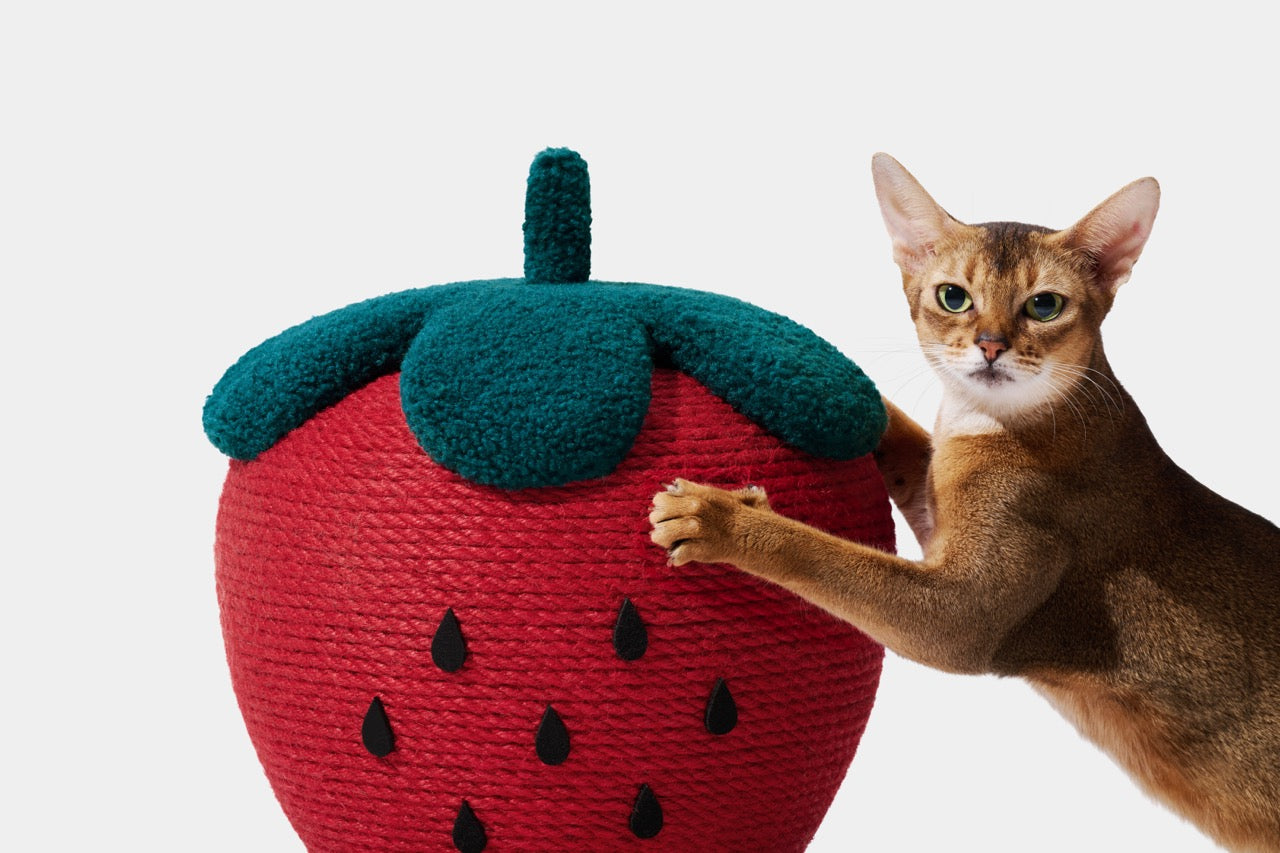 VETRESKA Strawberry Cat Scratching Ball