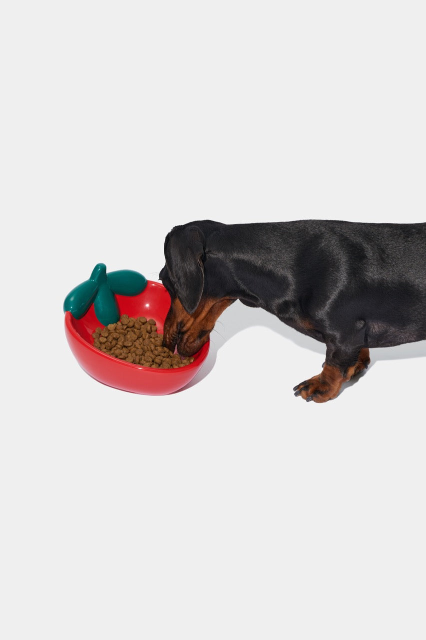 Strawberry Ceramic Pet Bowl