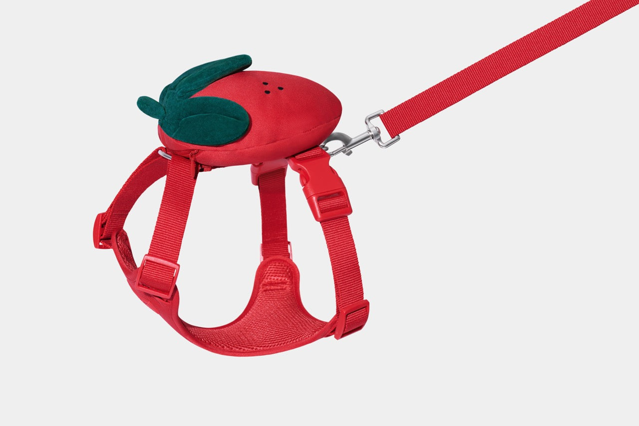 VETRESKA Strawberry Pet Walk Kit (Harness, leash pair with Poop bags)