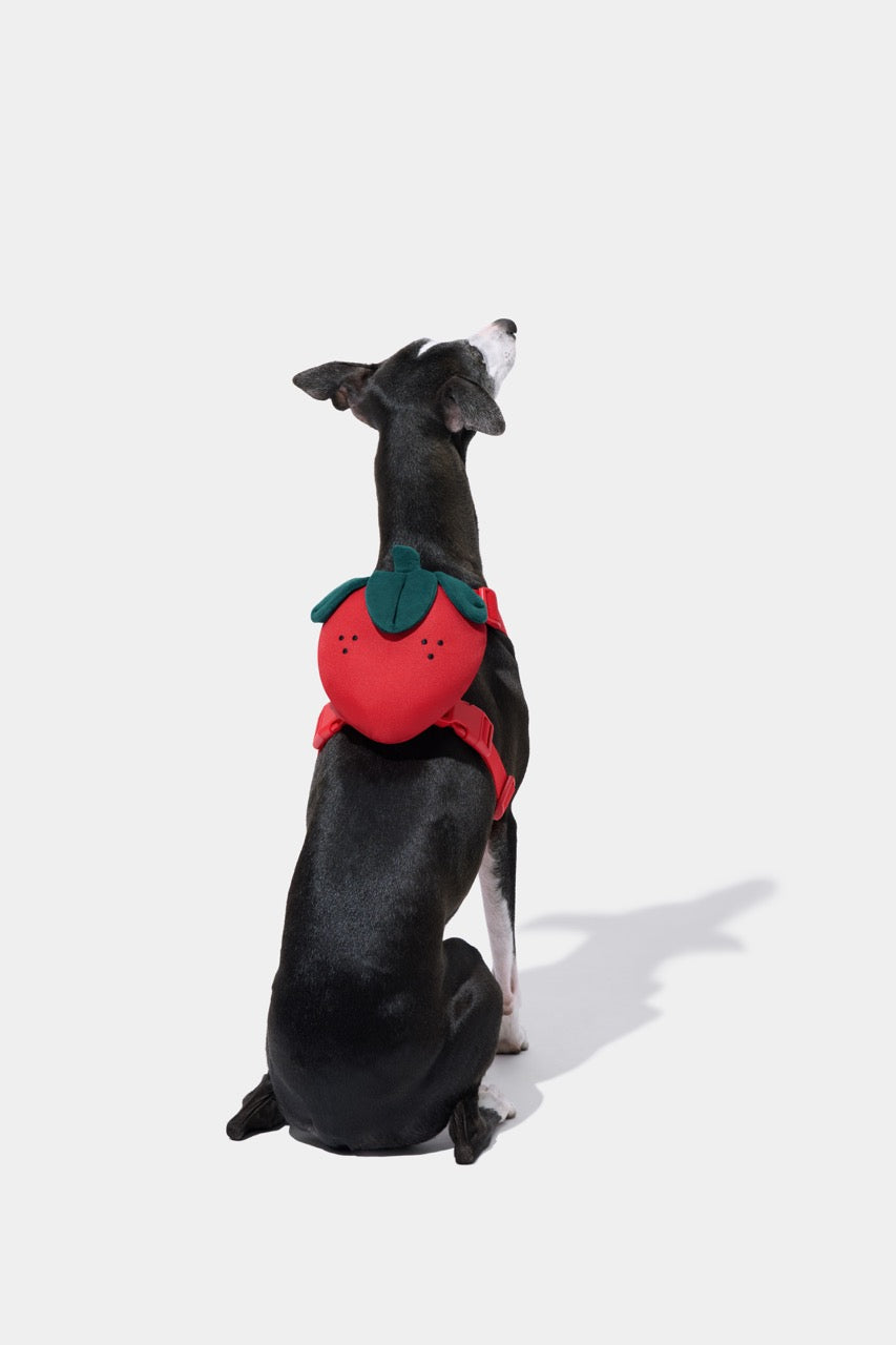 VETRESKA Strawberry Pet Backpack, Harness & Leash Set