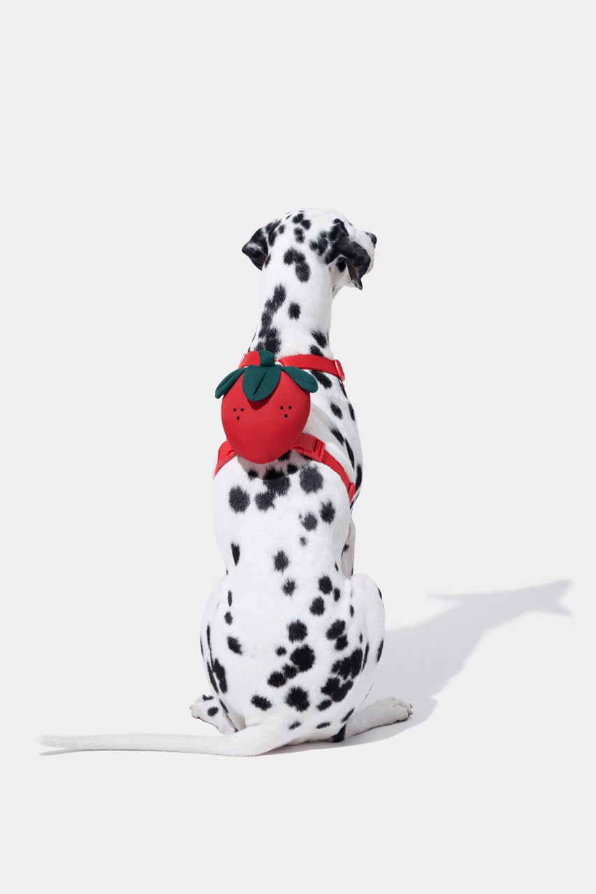 VETRESKA Strawberry Pet Walk Kit (Harness, leash pair with Poop bags)