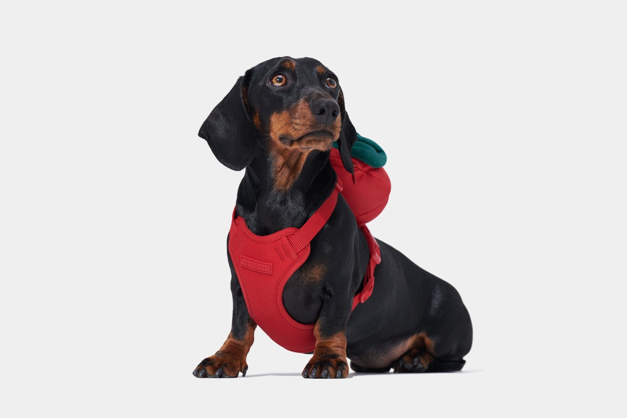 VETRESKA Strawberry Pet Walk Kit (Harness, leash pair with Poop bags)