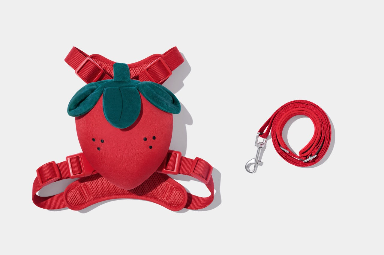 VETRESKA Strawberry Pet Walk Kit (Harness, leash pair with Poop bags)